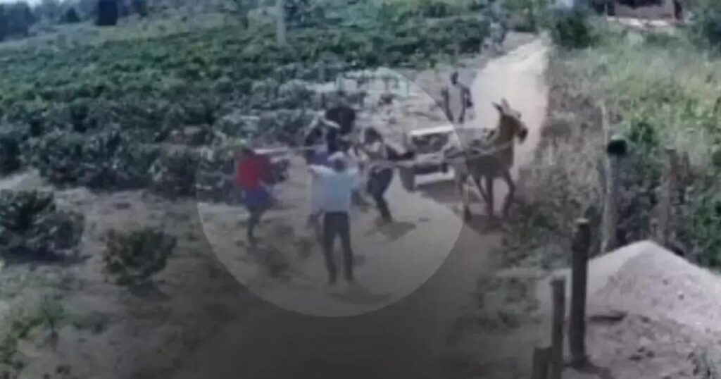 Homem é morto a pauladas em fazenda na Bahia; suspeitos são parentes
