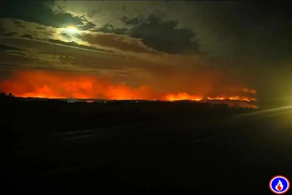 Incêndio no Sul da França: 11 mil hectares de floresta devastados