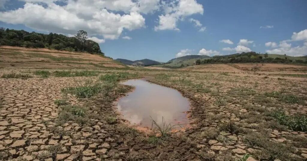 Iniciativas públicas e sociais buscam resiliência na caatinga e cerrado baianos