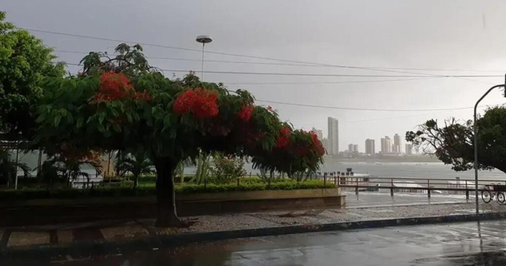 Menino de 10 anos morre eletrocutado ao tentar resgatar pipa em Juazeiro