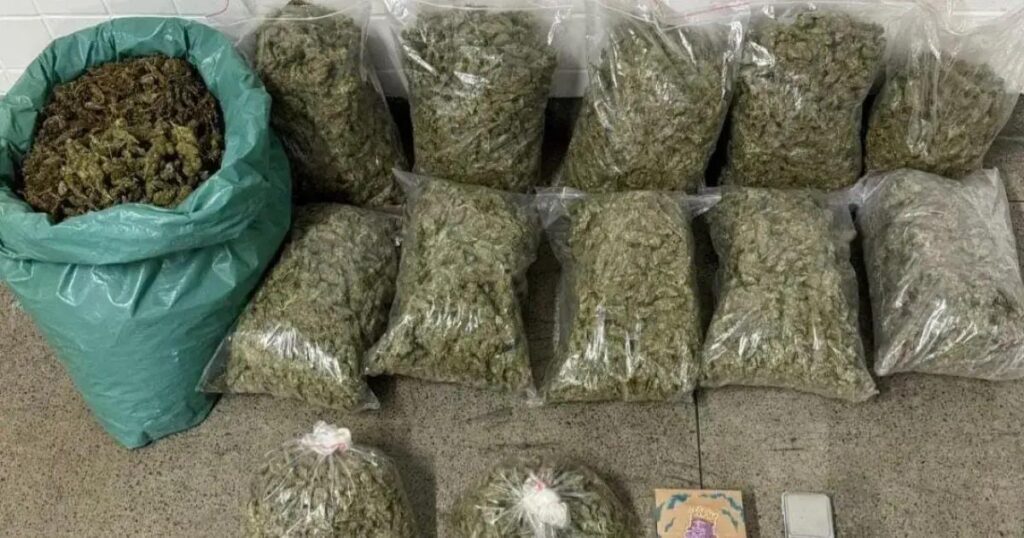 PM apreende 34 quilos de maconha durante patrulhamento em Feira de Santana