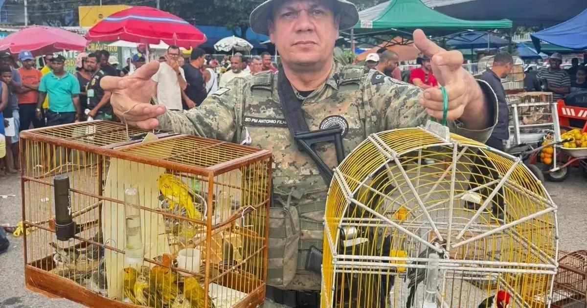 Polícia Ambiental realiza resgate de 48 aves silvestres em Camaçari