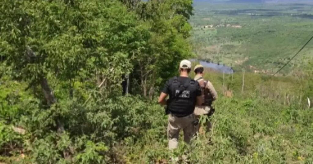 Trabalhador rural morto em briga por gaiola de passarinho na Bahia