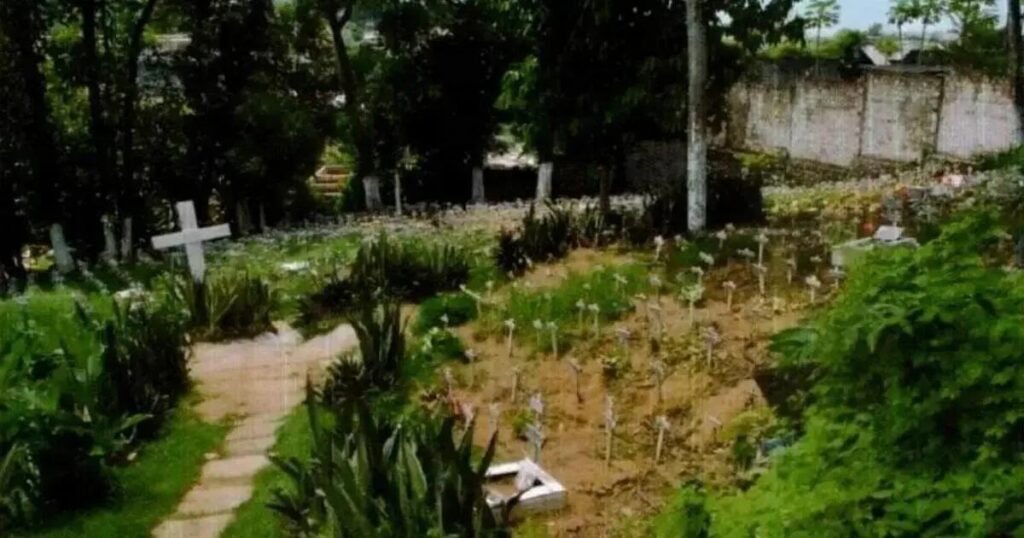 Cemitério de pets em Salvador é alvo do MP-BA por crimes ambientais e irregularidades