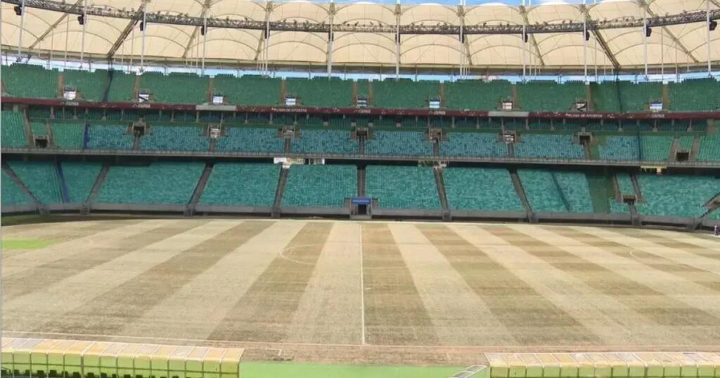 Gramado da Fonte Nova não reage a recuperação e será trocado completamente