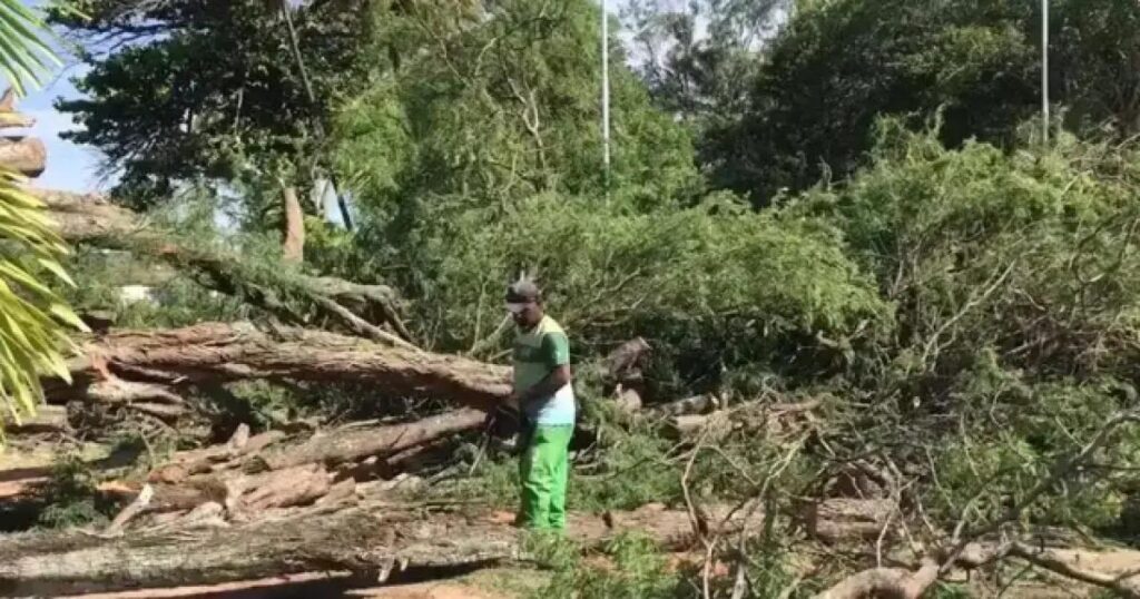 MPF investiga contratação de kits humanitários em Paulo Afonso após chuvas