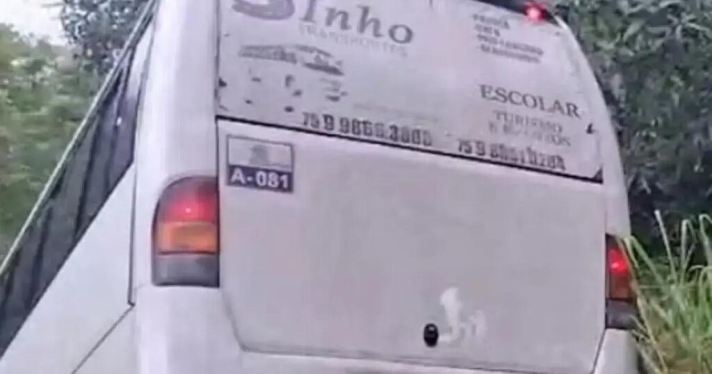 Ônibus escolar cai em barranco na BA-507 em Catu; estudantes ilesos