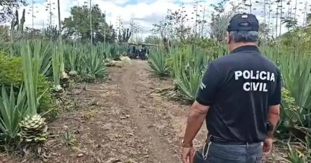 Pai é preso por estupro de vulnerável contra filha de 13 anos em Araci