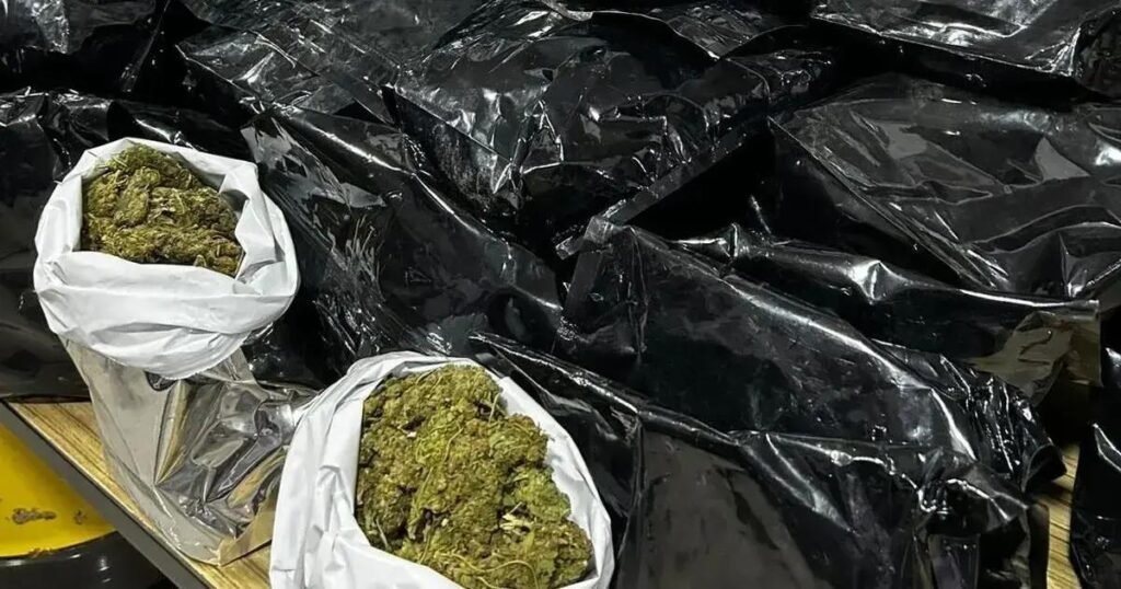 PM apreende 45 kg de maconha após perseguição e capotamento em Itabuna