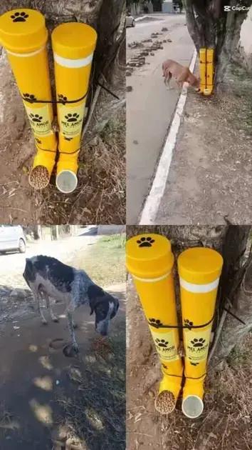 Projeto Mel Amor em Patas cuida de pets de rua em Itarantim
