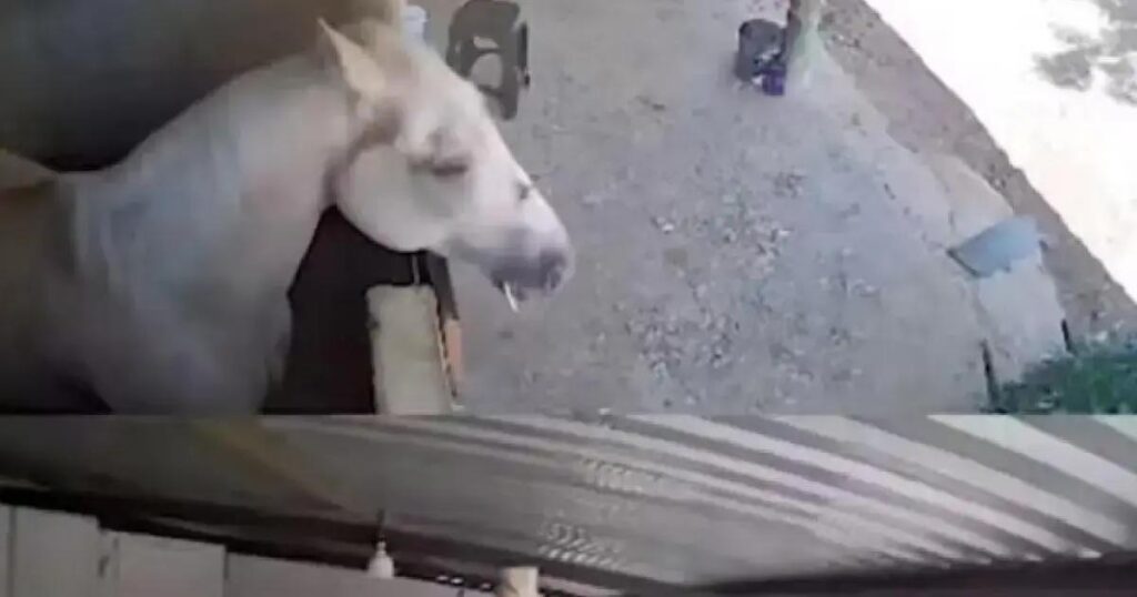 Tremor de terra de magnitude 3.9 assusta moradores no Extremo Oeste baiano