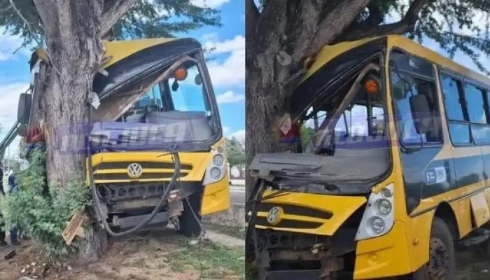 Acidente com ônibus escolar em Paulo Afonso deixa 10 feridos