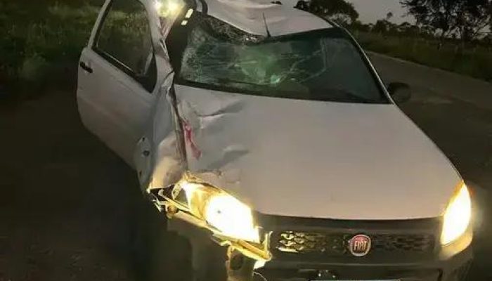 Açougueiro sofre acidente com animais soltos próximo a Vitória da Conquista