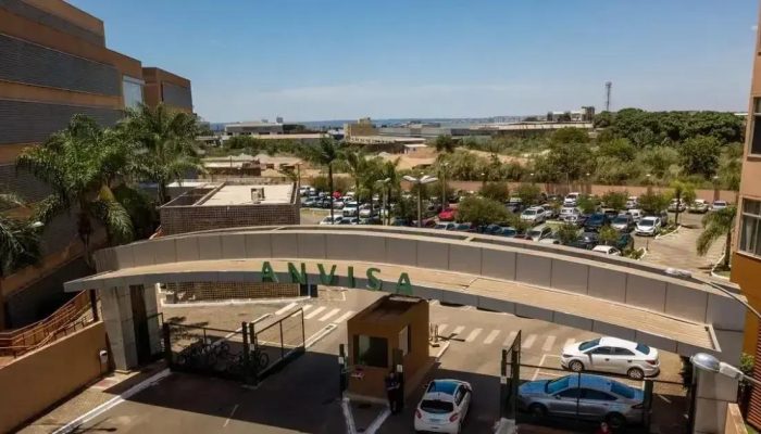 Anvisa proíbe venda de produtos à base de cannabis e cogumelos por falta de registro