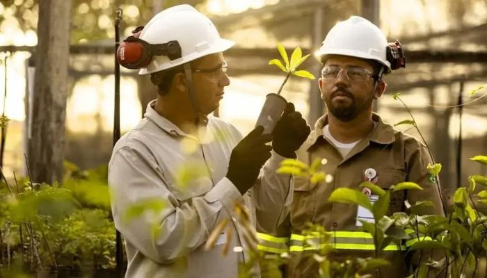 Appian e Atlantic Nickel: Iniciativa de reflorestamento na Mata Atlântica