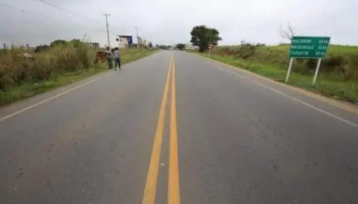 Aumento de atropelamentos de animais na BA-130 gera preocupação ambiental