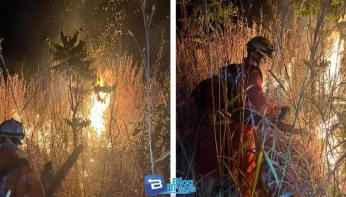 Bombeiros controlam incêndio em vegetação e evitam avanço das chamas