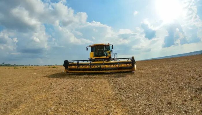 Brasil perde 111,7 milhões de hectares de áreas naturais em quatro décadas