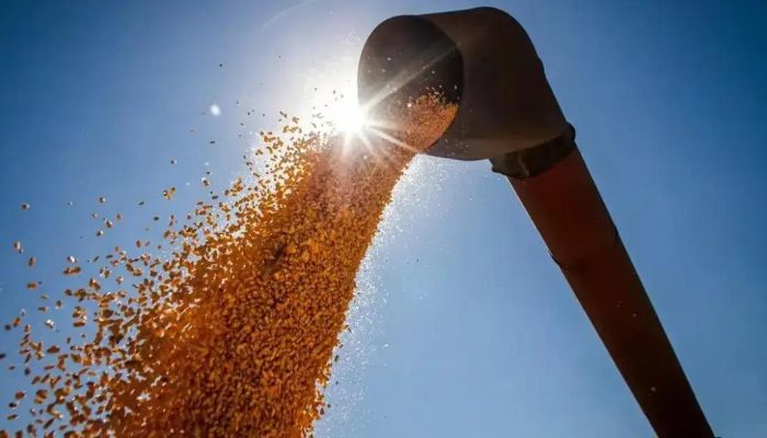 Brasil pode alcançar recorde de 336 milhões de toneladas de grãos na safra 2024/2025