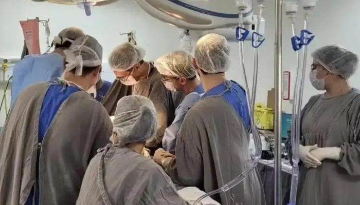 Brasil registra mais de 30 mil transplantes em 2024, um recorde histórico