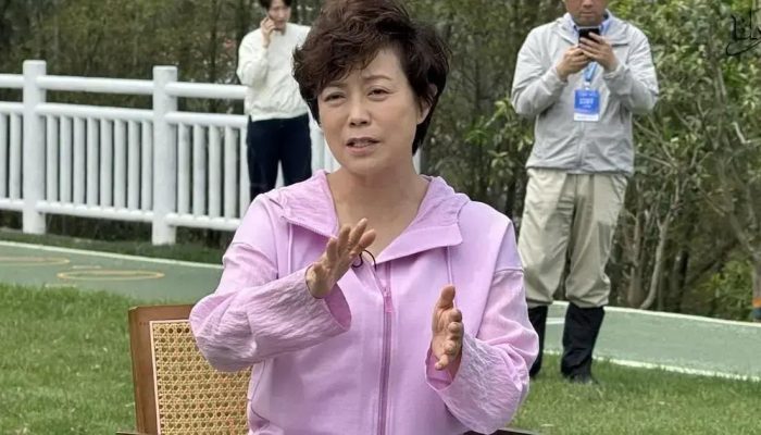 BYD inicia produção do Dolphin Mini em Camaçari em junho de 2025