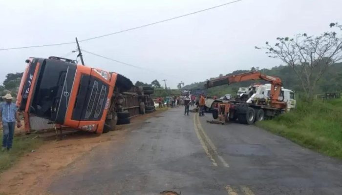 Caminhão boiadeiro tomba com 70 bovinos e motorista fica ferido