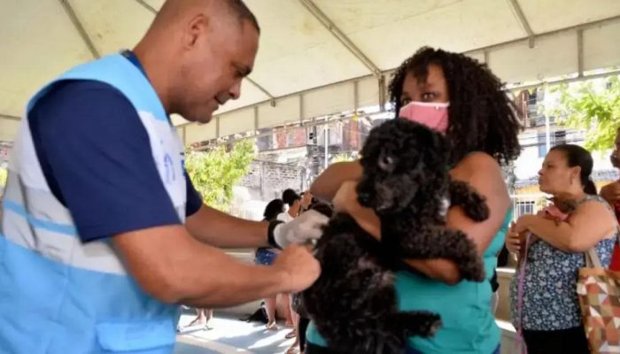 Campanha de Vacinação Antirrábica Animal 2025 em Salvador