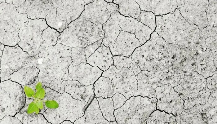 Campanha Justiça Climática é Justiça Social mobiliza Defensoria Pública na Bahia