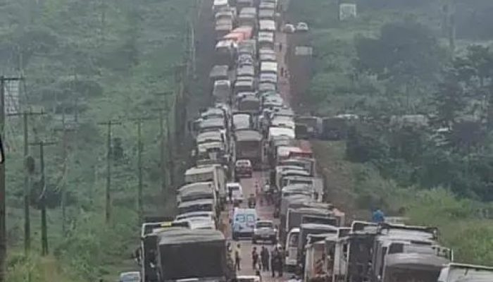 Caos na BR-101: Desvio da Veracel e interdições impactam o trânsito