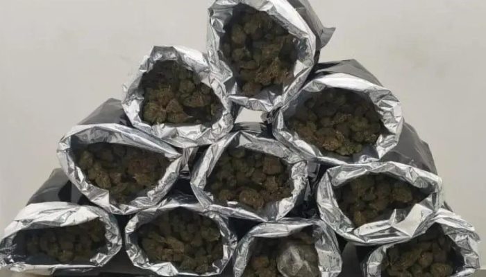 Casal detido em Vitória da Conquista por tráfico de drogas