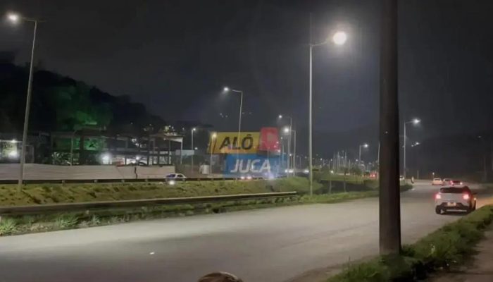 Cavalo morre após ser atingido por carro na Avenida 29 de Março em Salvador