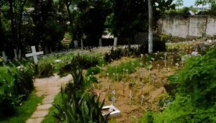 Cemitério de pets em Salvador é alvo do MP-BA por crimes ambientais e irregularidades