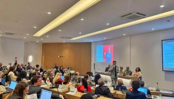 CFMV estabelece diretrizes para programas de castração de cães e gatos