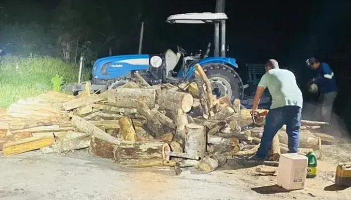 CIPPA flagra transporte ilegal de madeira em Barrolândia