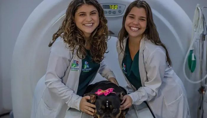 Como a tomografia veterinária pode salvar a vida do seu pet