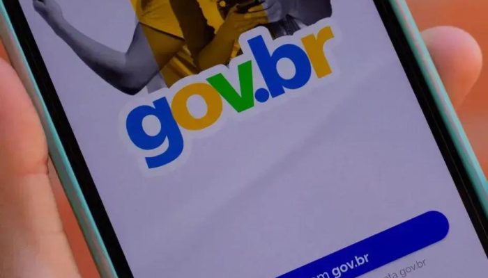 Como Consultar e Emitir o Número de Identificação Social (NIS)