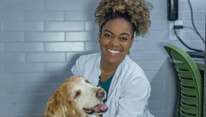 Como identificar sinais silenciosos de dor no seu pet: 6 dicas importantes