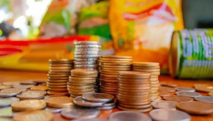 Como solicitar o Auxílio Cesta Básica: Regras e Documentos Necessários