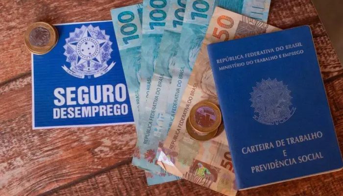 Como solicitar o seguro-desemprego e garantir seus direitos trabalhistas