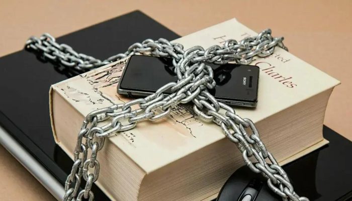 Como VPNs gratuitas podem proteger seu negócio sem pesar no bolso