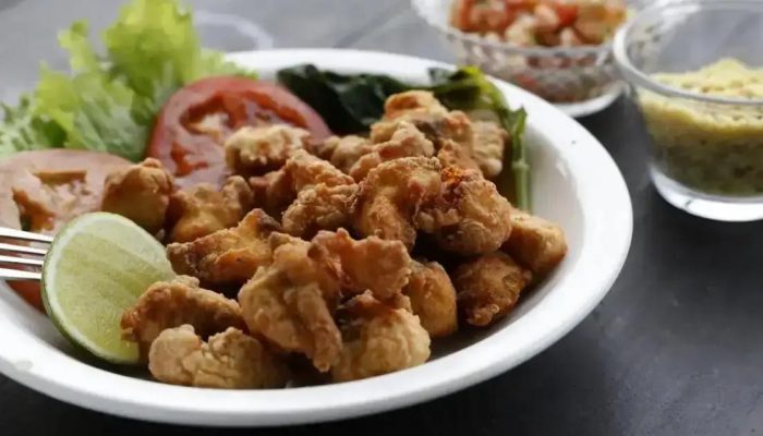 COP30 vai injetar R$ 3,3 milhões na agricultura familiar do Pará