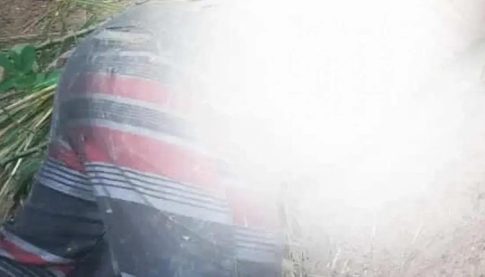 Corpo em decomposição é descoberto em terreno baldio na Bahia