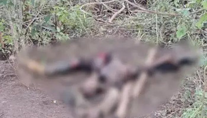 Corpo encontrado em Macarani pode ser de homem desaparecido