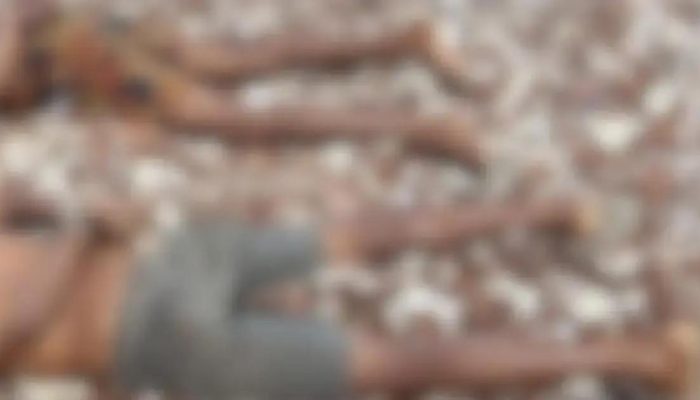 Corpos de dois homens encontrados com marcas de execução em Dias d'Ávila