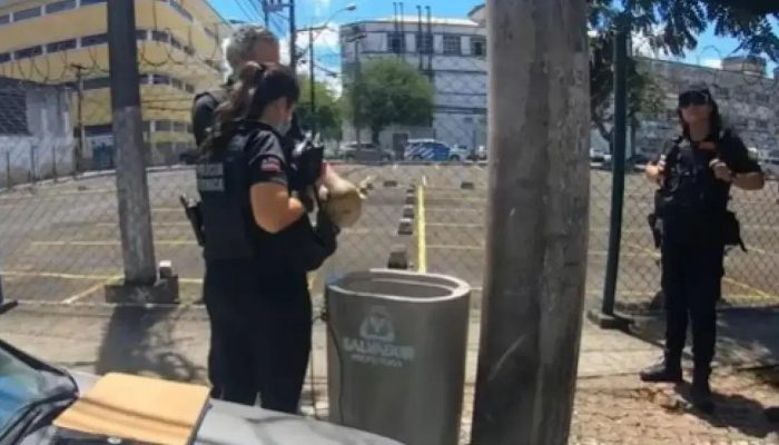 Crânio humano é encontrado em lixeira no Comércio de Salvador