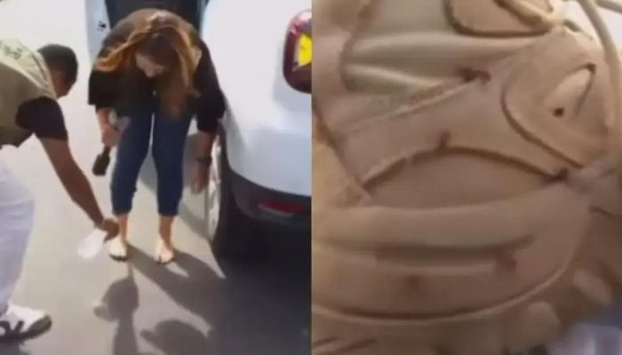 Dani Mazzei interrompe programa ao vivo após ataque de formigas