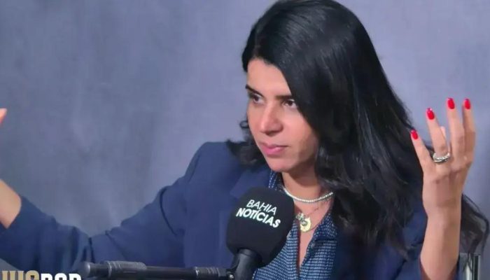 Desafios Jurídicos dos Bebês Reborn no Direito de Família