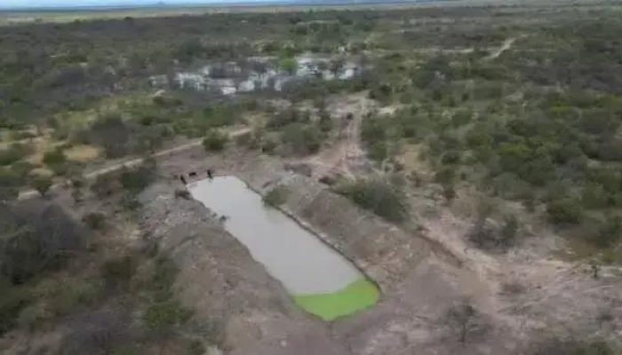 Desmatamento na Bahia e a Ameaça da Desertificação: Entenda o Problema