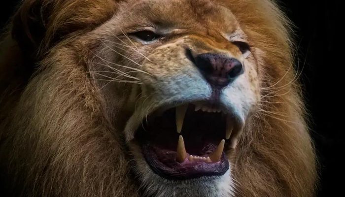 Desmistificando o IRPF 2025: 8 Mitos que Você Precisa Conhecer