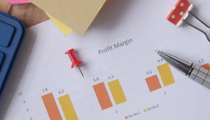 Diferença entre rentabilidade e lucratividade: entenda de uma vez